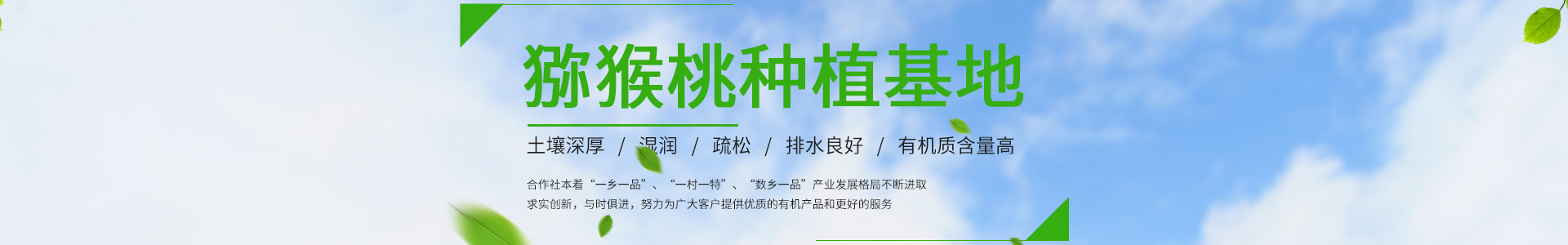 蔬菜果蔬鲜果配送类网站模板